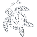 Centro de buceo Sa Caleta Tenerife PADI Dive Center Logo