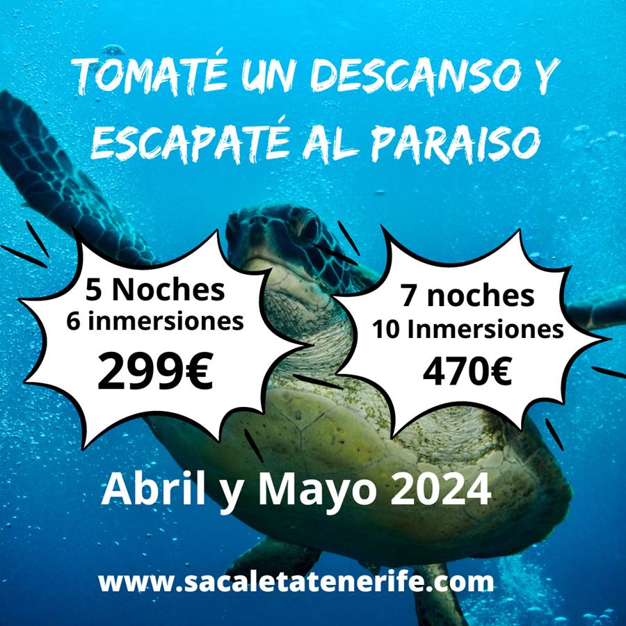 Oferta buceo Abril y Mayo 2024