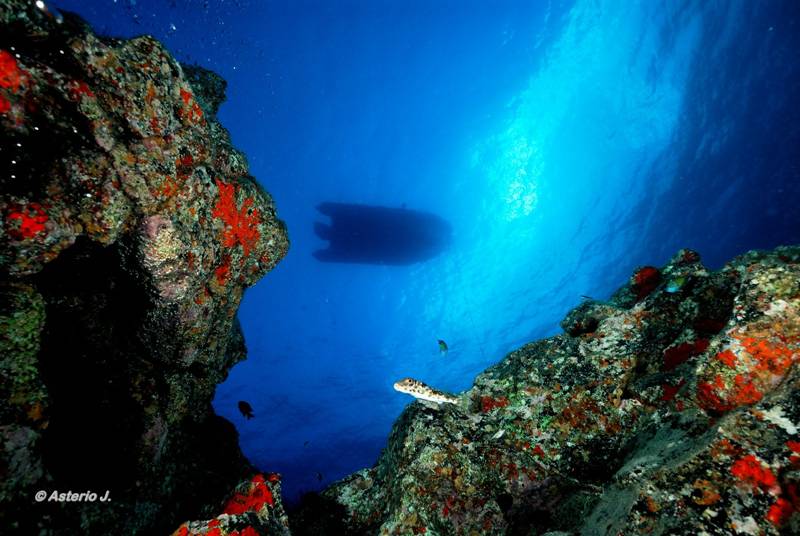 Buceo en Tenerife - Sa Caleta Tenerife Dive Center