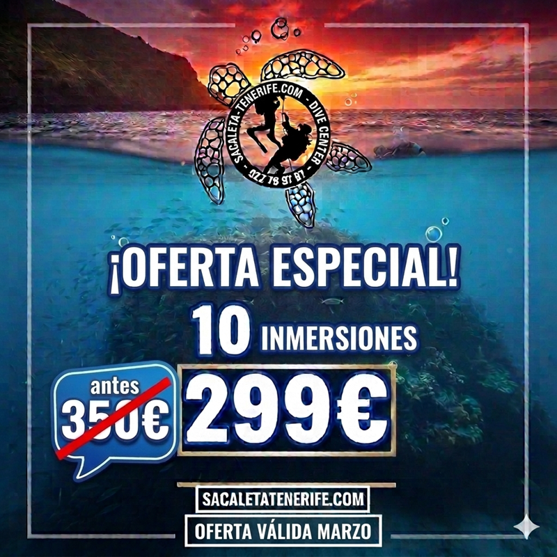 Oferta de buceo en Tenerife
