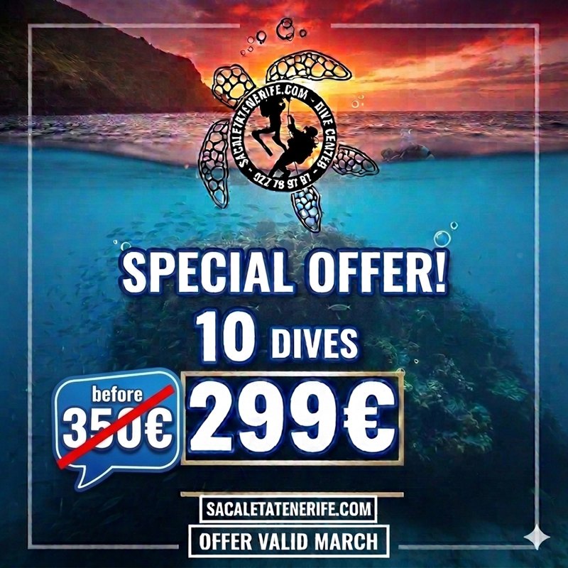 Dive Offer Tenerife