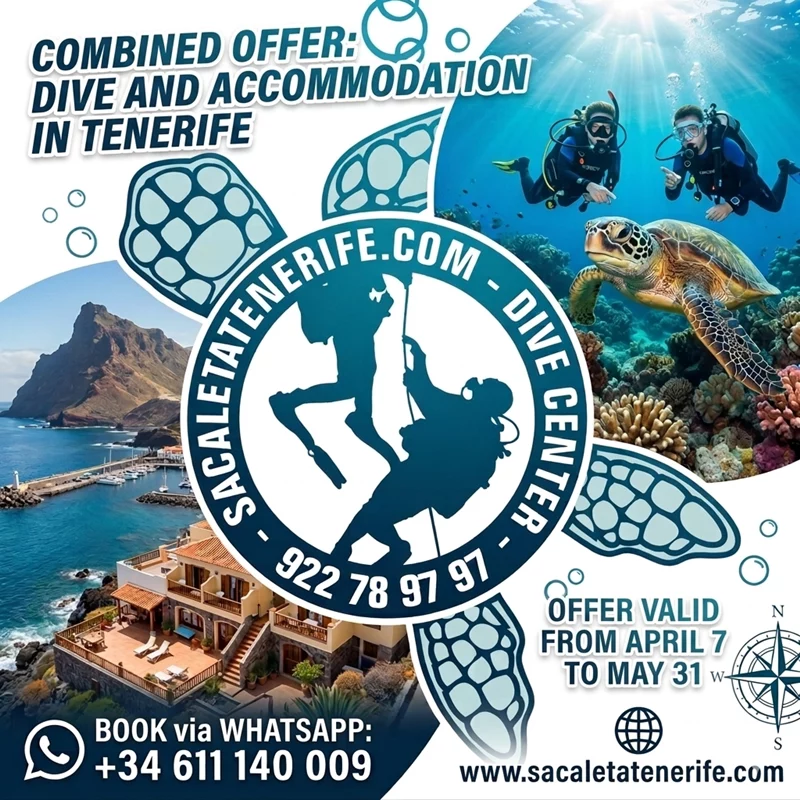 Diving & Accommodation Offer in Tenerife